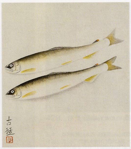 小林古径「香魚」