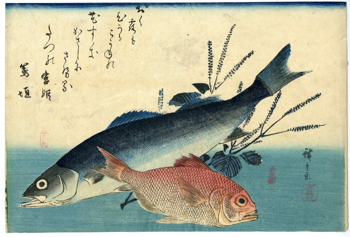 広重「魚づくし すずき・金目鯛にしそ」