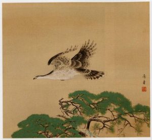 児玉希望を高価買取いたします | 絵画骨董買取プロ | 親子90年の
