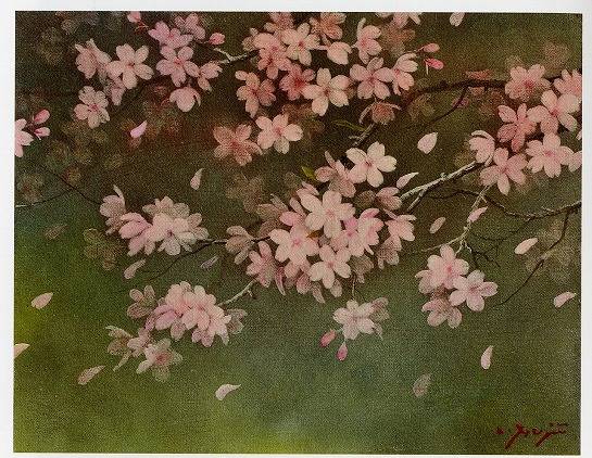 藤井勉「山桜」