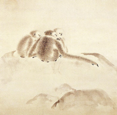 入江波光