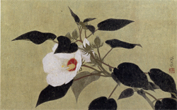 岩橋英遠