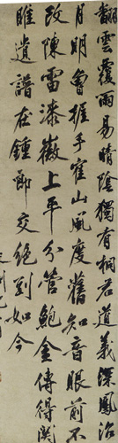 沈周