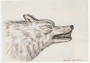 鴻池朋子「デッサン」