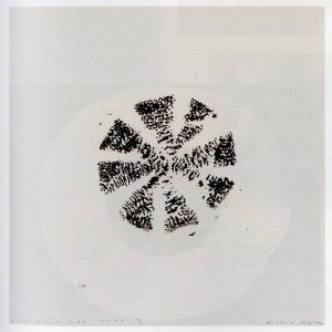 菅木志雄「メロン・スペース・メッシュ」