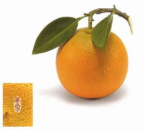 安藤緑山「牙彫　橙」