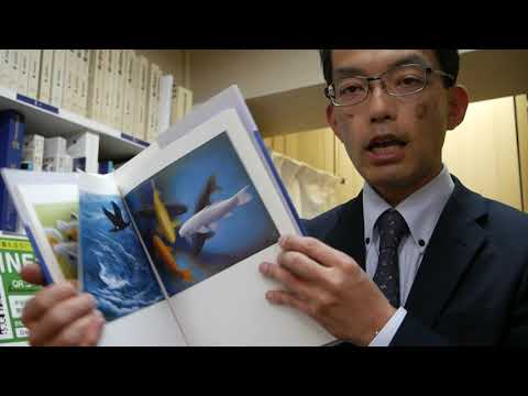 【画面に秘密の年号が隠されている】杉山寧の制作年代の見方教えます