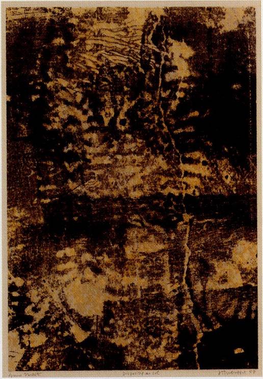 <span class="tw-text-xs tw-font-semibold">ジャン・デュビュッフェ</span><span class="tw-text-sm tw-font-semibold">「Dispositif au Sol」</span>