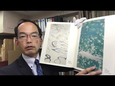 【大田区池上本門寺の天井画】川端龍子の作品をきっちり査定しています