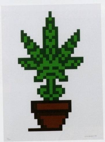 <span class="tw-text-xs tw-font-semibold">インベーダー</span><span class="tw-text-sm tw-font-semibold">「Hollyweed(Brown pot)」</span>