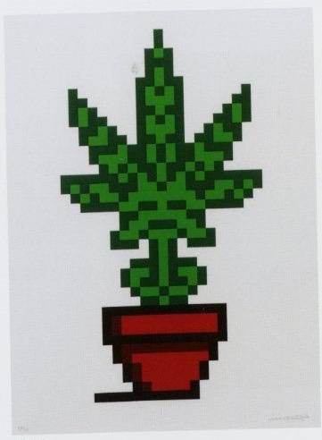 <span class="tw-text-xs tw-font-semibold">インベーダー</span><span class="tw-text-sm tw-font-semibold">「Hollyweed(Red pot)」</span>