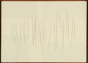 浅野弥衛「Untitled」