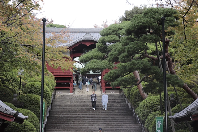 護国寺骨董市の入口