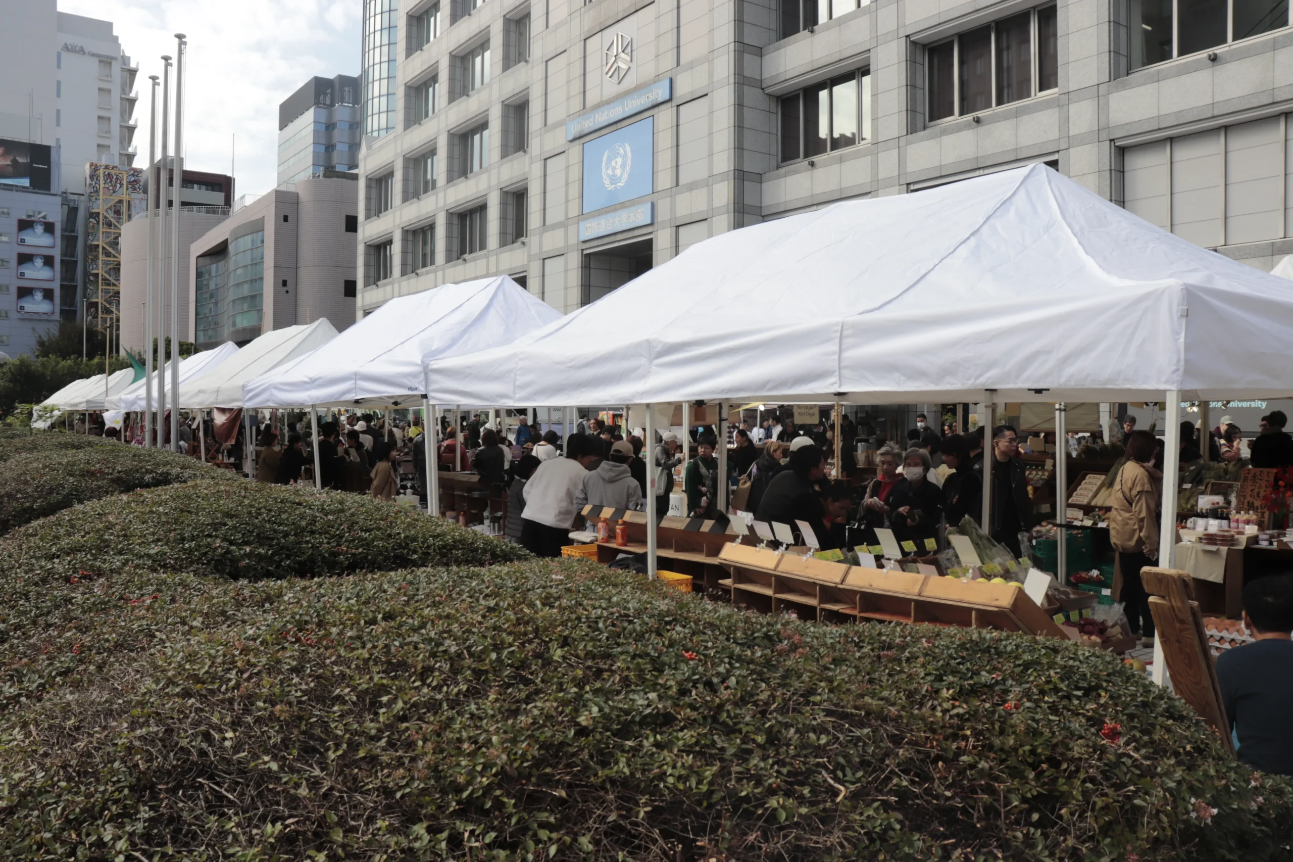 青山古市の風景