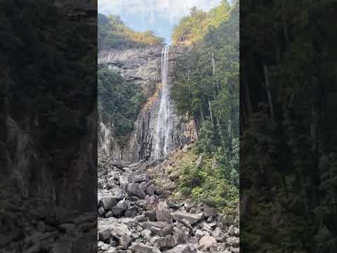 作家別作品買取