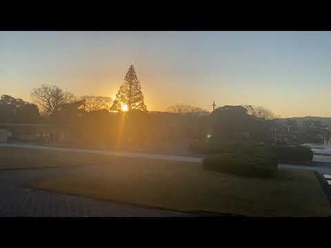 作家別作品買取