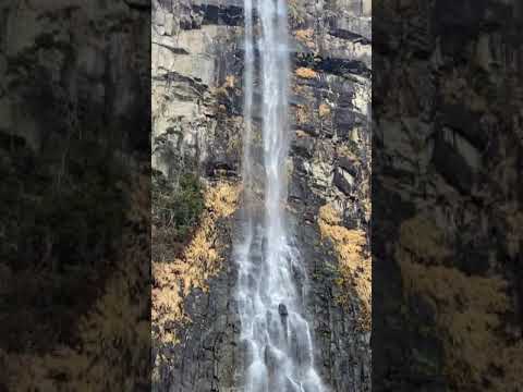 作家別作品買取