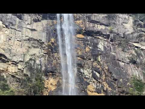 作家別作品買取