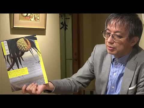 田中一村展を千葉市美で開催中。査定・鑑定・販売は【絵画骨董買取プロby秋華洞】 作家別作品買取