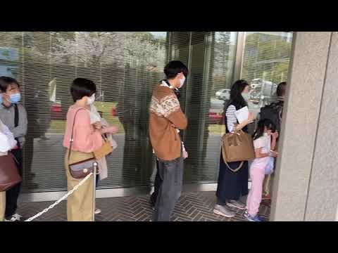 作家別作品買取