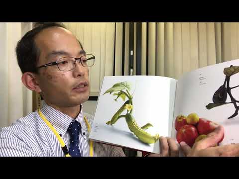 安藤緑山の牙像はスーパーリアリズムの原点・超絶技巧を高く買います!評価します!【絵画骨董買取プロby秋華洞】 作家別作品買取