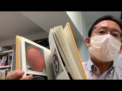 ピカソのセラミックの作品を高く評価致します【絵画骨董買取プロby秋華洞】 作家別作品買取