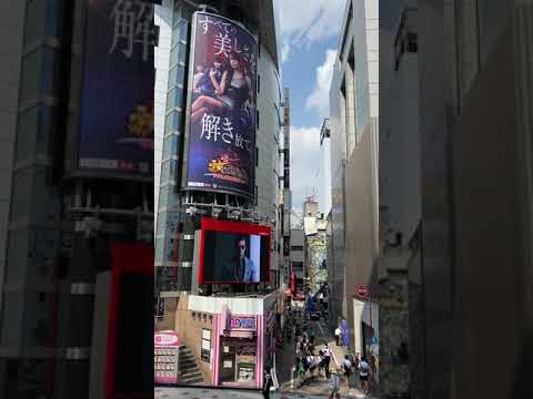 絵画の鑑定依頼で渋谷まで出張査定に来ました。東京都内の出張査定を強化中!【絵画骨董買取プロby秋華洞】 作家別作品買取