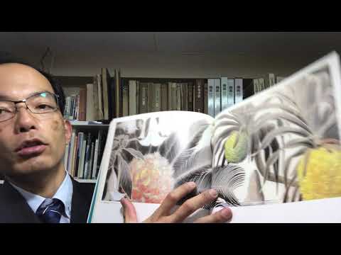 亜熱帯の絵画 田中一村の南国奄美で描かれた晩年の作品を高く買い取ります!【絵画骨董買取プロby秋華洞】 作家別作品買取