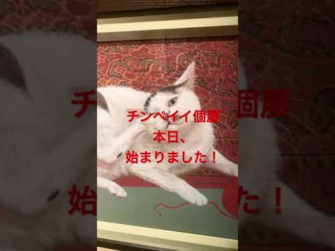 チンペイイ個展、始まってます! 作家別作品買取