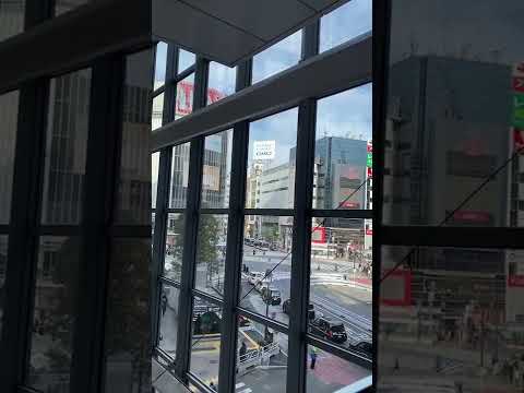 今渋谷がアツい!渋谷の出張査定が続いております。美術品 骨董品 高価買取中!【絵画骨董買取プロby秋華洞】 作家別作品買取