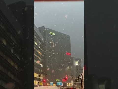 東京都 新宿駅を通りかかりました! 雪に包まれる新宿!美術品 骨董品 高価買取中!【絵画骨董買取プロby秋華洞】 作家別作品買取