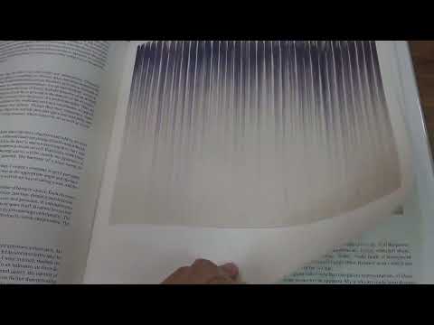 李禹煥の世界と評価(3/4) Lee Ufan画集より【絵画骨董買取プロby秋華洞】 作家別作品買取