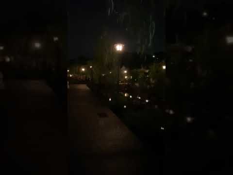 作家別作品買取